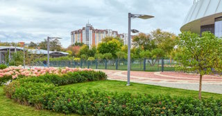 Профессиональное озеленение улиц в Куйбышеве в октябре