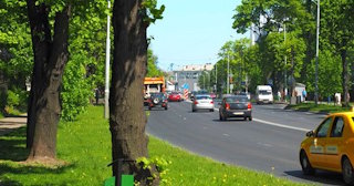 Посадка деревьев и кустарников в Куйбышеве — стоимость от 1244 руб.